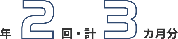 年2回・計3カ月分